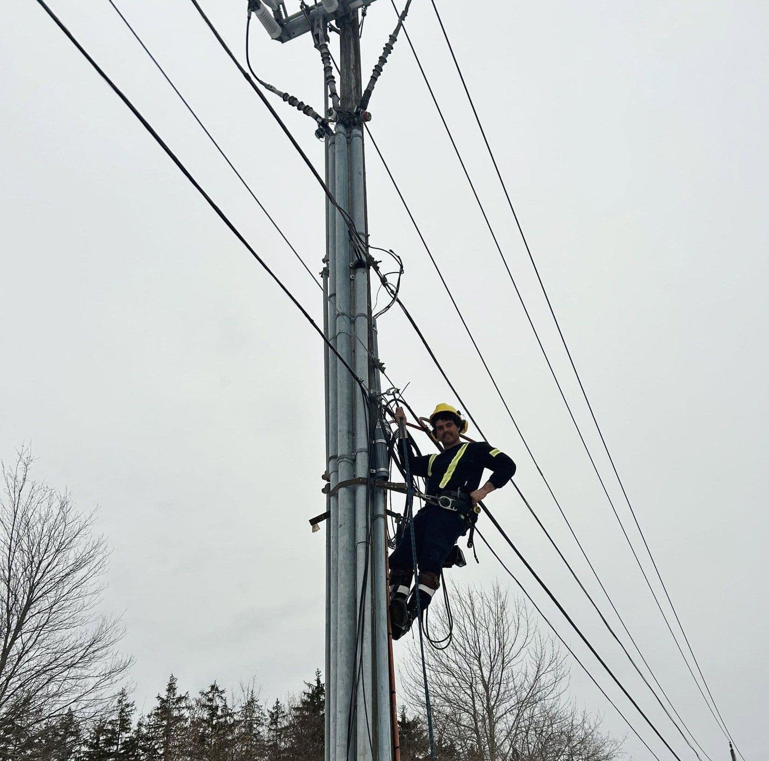 Lucas working as a utility arborist on a hydro pole next to power lines near Carlisle