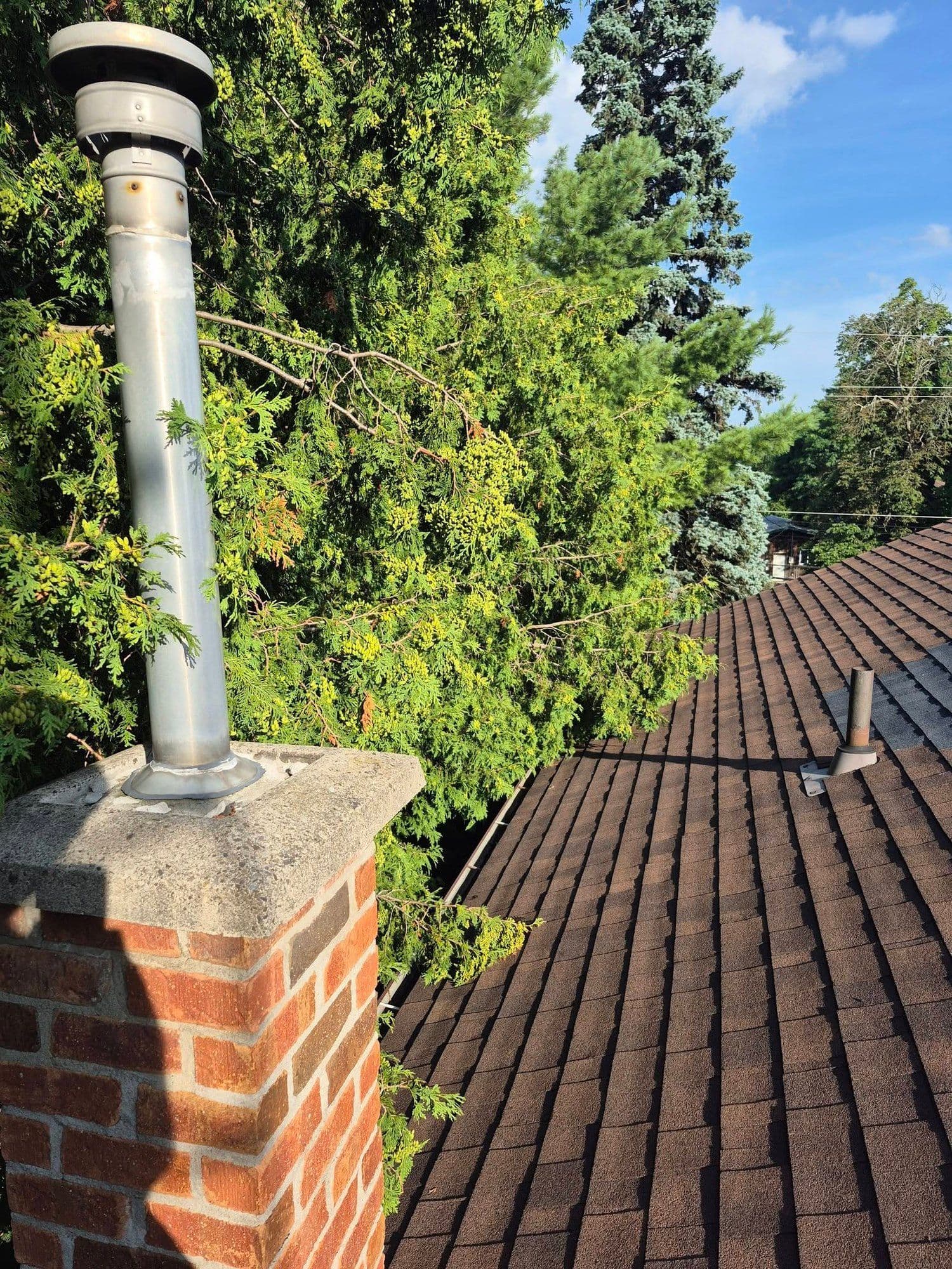 Fellows Tree Service clearing growth back from a roofline and chimney