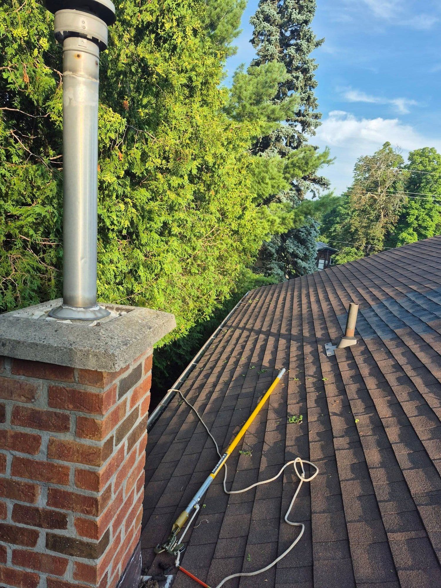 Fellows Tree Service pruning back trees overhanging a roof